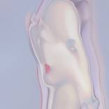 Manjusaka - Limited Edition of 10 by JCT Li