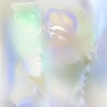 Faces versus Surfaces by JCT Li