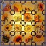 A Study of Sunflowers - Limited Edition of 1 by Allan Levy
