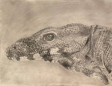 Original Realism Animal Drawing by Thomas Thorn