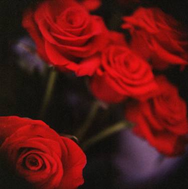 Print of Fine Art Floral Photography by Edward Olive