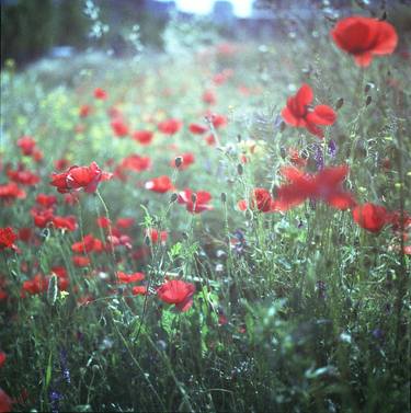 Print of Photorealism Landscape Photography by Edward Olive