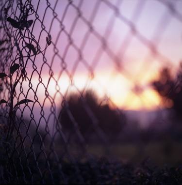 Wire fence and foliage on summer evening  in Spain square medium format film analogue photo thumb