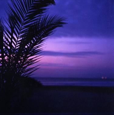 Palm tree on beach Ibiza silhouette against dusk sunset sky square medium format film analogue photos thumb