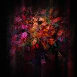 Nocturne, Opus 1 by Ilir Pojani