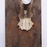 Collection Objects d'art / Cabinet of Curiosities