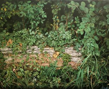 Original Photorealism Nature Paintings by jacques bodin