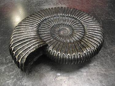Ammonite      thumb