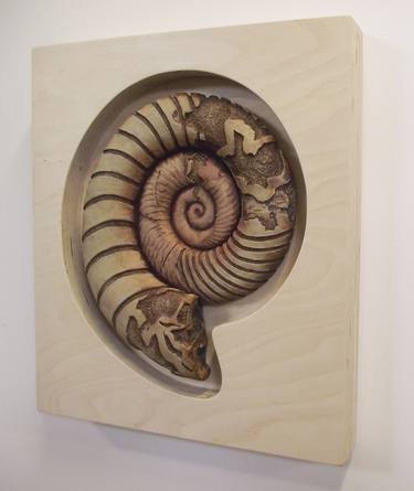 Ammonite Series III original thumb