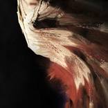 Nightmare #23 - Limited Edition of 7 by Stefano Bonazzi