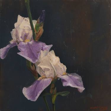 purple lily on dark background thumb