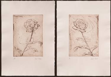 Original Floral Printmaking by Juan Álvarez Cebrián