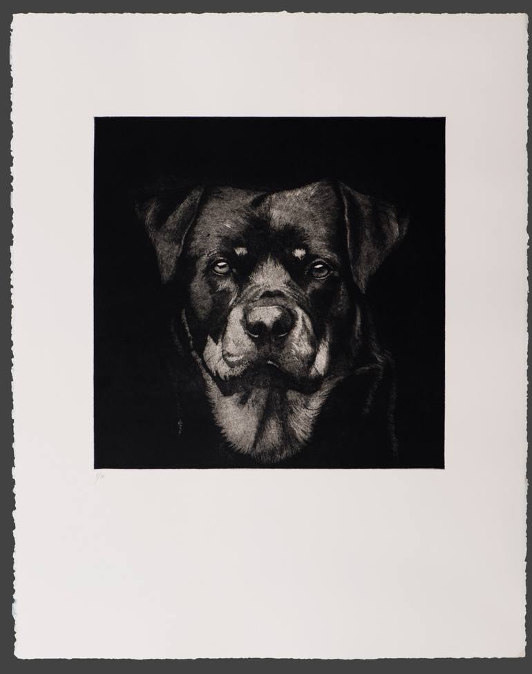 Original Realism Animal Printmaking by Juan Álvarez Cebrián