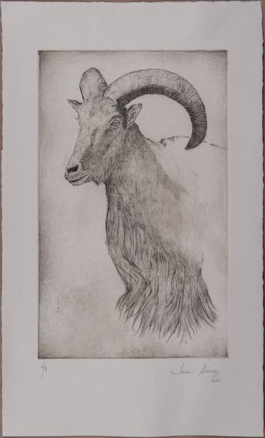 Original Realism Animal Printmaking by Juan Álvarez Cebrián