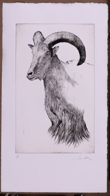 Original Figurative Animal Printmaking by Juan Álvarez Cebrián