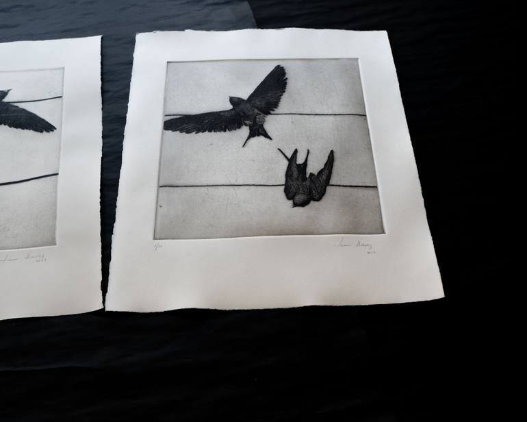 Original Animal Printmaking by Juan Álvarez Cebrián