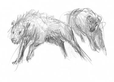 Print of Expressionism Animal Drawings by Alexandru Gheorghe