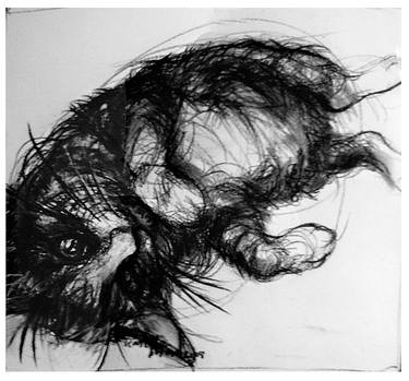 Original Expressionism Animal Drawings by leanette botha