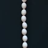 Fragile System (Black): Spine by Olga Nikishova