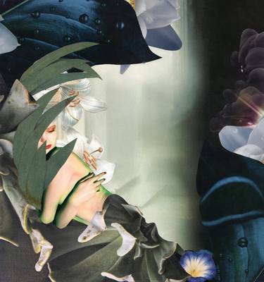 Original Surrealism Botanic Mixed Media by Natalia Lewandowska