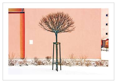 Original Fine Art Tree Photography by Beata Podwysocka