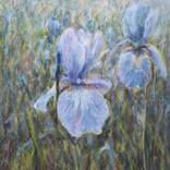 Irises by Katrin Saag
