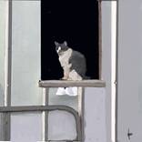 Barn Cat by Rex Maurice Oppenheimer