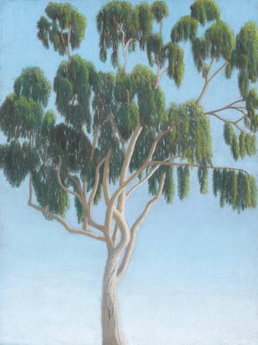 Print of Figurative Tree Drawings by Darcy Art