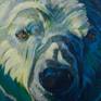 Detail of Fading. A close up of eyes and nose.