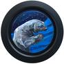 "Polar Bear Prayers" comes framed in black. ©Christine Montague 2020
