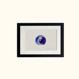 Watercolour Shell Killichronan Beach Painting by Calum Hall