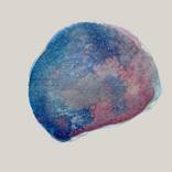 Watercolour Shell Killichronan Beach Study by Calum Hall