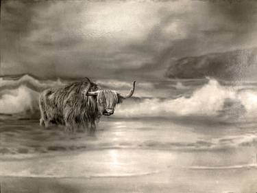 Print of Photorealism Animal Printmaking by Alyson J Barton