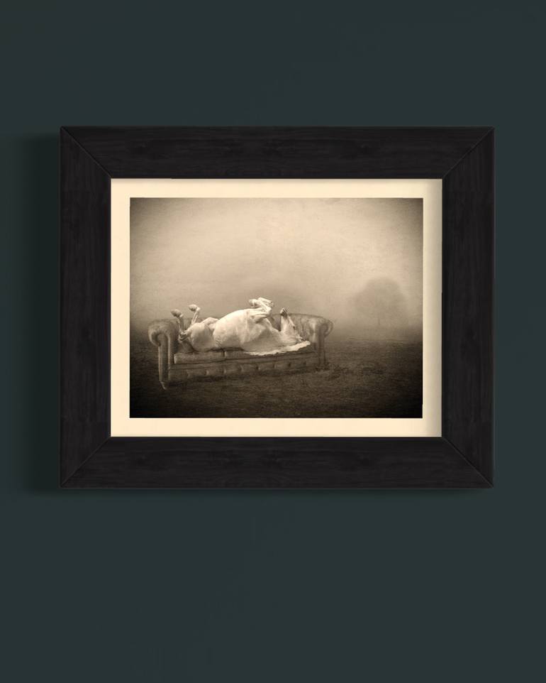 Original Contemporary Horse Printmaking by Alyson J Barton