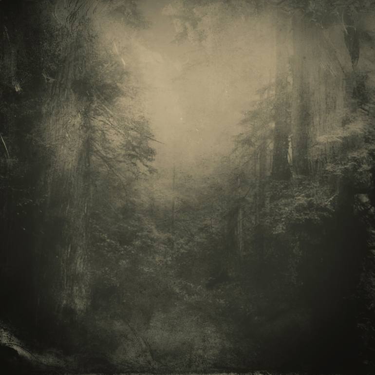 Original Contemporary Nature Photography by Alyson J Barton