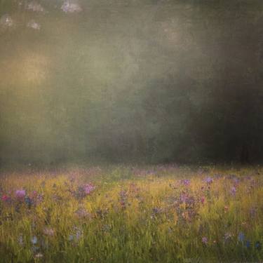 Original Romanticism Landscape Photography by Alyson J Barton