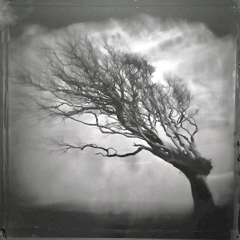 Print of Fine Art Landscape Photography by Alyson J Barton
