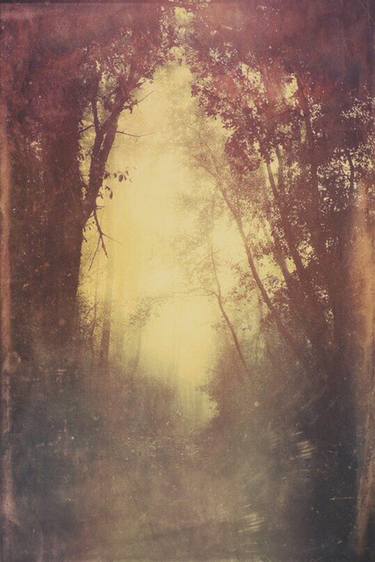 Print of Landscape Paintings by Alyson J Barton
