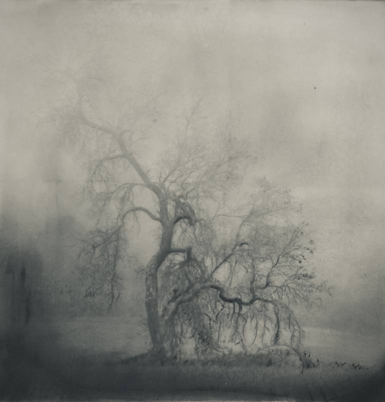 Print of Fine Art Landscape Drawings by Alyson J Barton