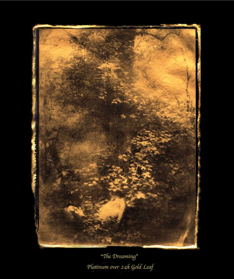 Print of Fine Art Nature Mixed Media by Alyson J Barton