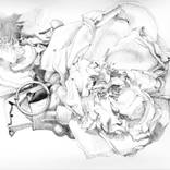 Collection Vanitas
