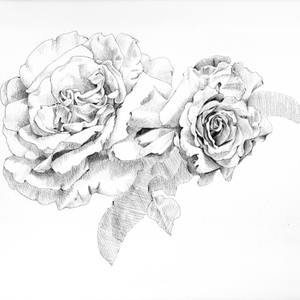 Collection Vanitas