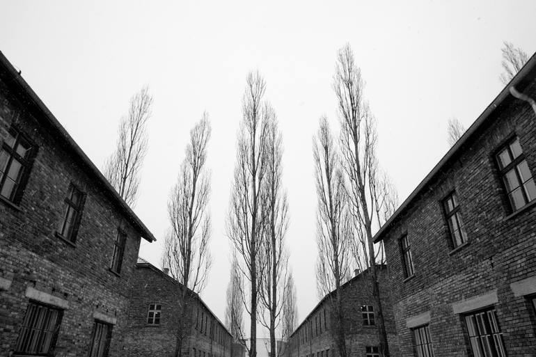 Original Architecture Photography by Thiago Schiavetti Jardim | Conceptual Art on Paper | Blocks and Trees, Auschwitz I