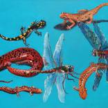 Salamanders and Dragonflies by Inga Jurova