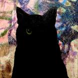 Black Cat over Abstraction (one eye) by John Geary