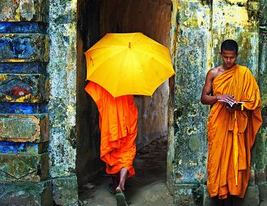 The yellow umbrella thumb