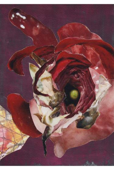 Print of Abstract Botanic Paintings by Mary A Johnson