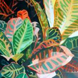 Collection Gifts For Green Thumbs