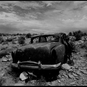 100 Curators Collection