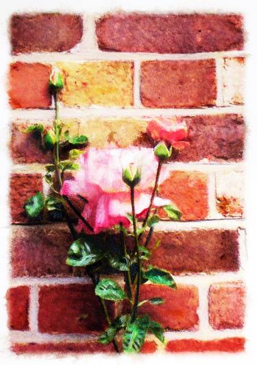 Roses & Bricks thumb